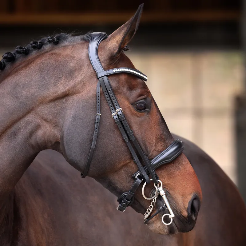 Velociti Lusso Elite Double Bridle - Black