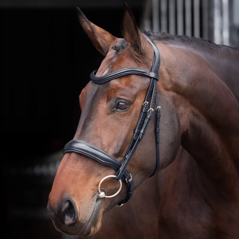 Velociti Lusso Cavesson Bridle - Black