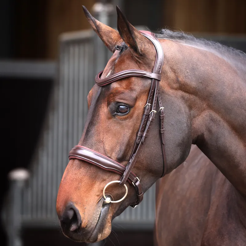 Velociti Lusso Cavesson Bridle - Havana