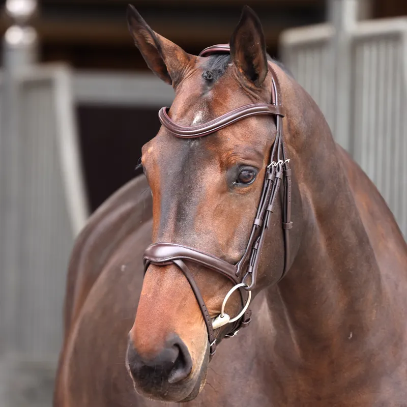 Velociti Lusso Elite Flash Bridle - Havana