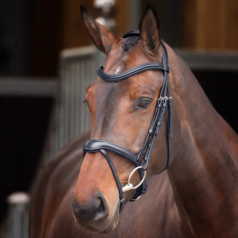 Velociti Lusso Elite Flash Bridle - Black