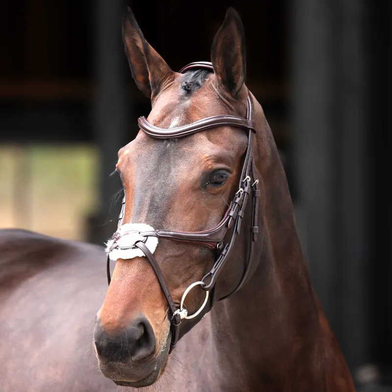 Velociti Lusso Elite Grackle Bridle - Havana