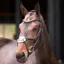 Velociti Lusso Elite Grackle Bridle - Havana