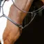 Velociti RAPIDA Ergonomic Five Point Breastplate - Havana