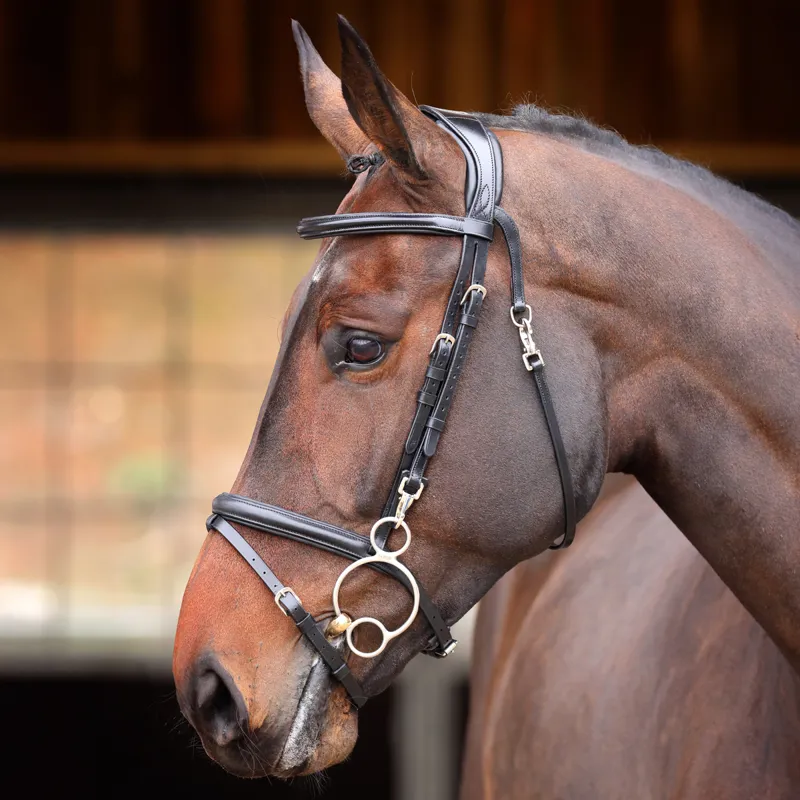 Velociti RAPIDA Training Bridle - Black