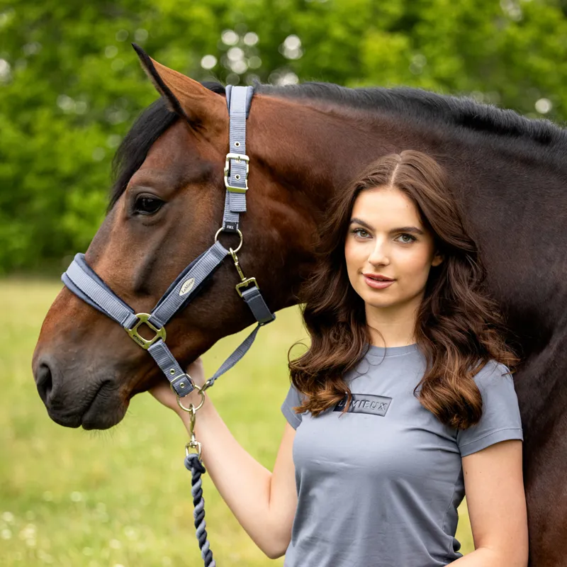 LeMieux Versailles Headcollar - Jay Blue-1