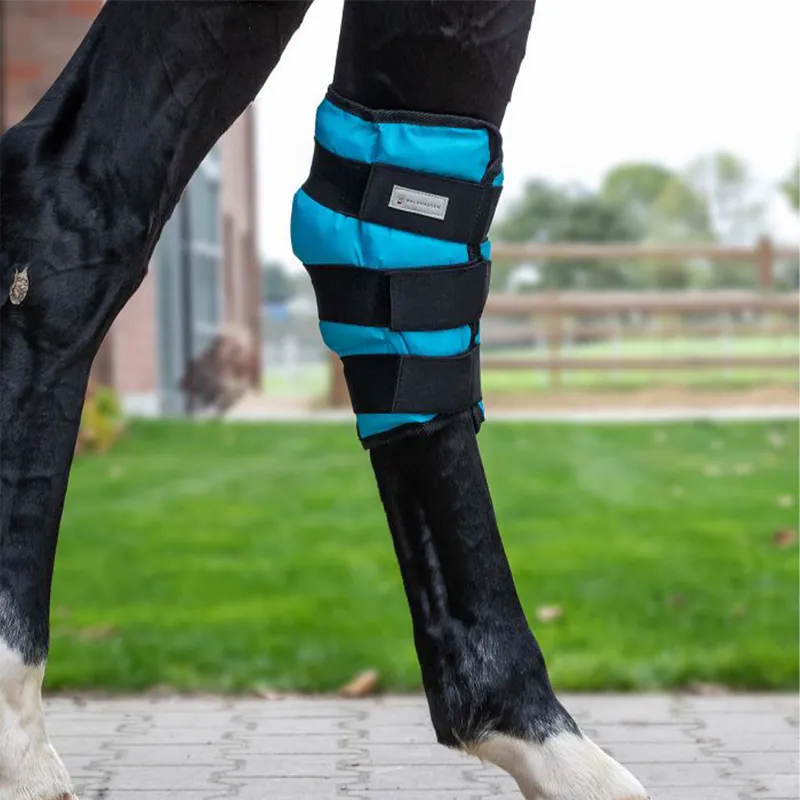 Waldhausen Cooling Hock Boot - Blue