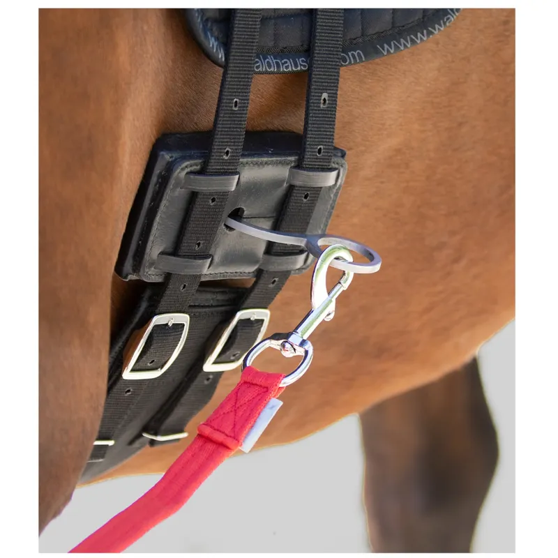 Waldhausen Equibender Lunging Aid Black