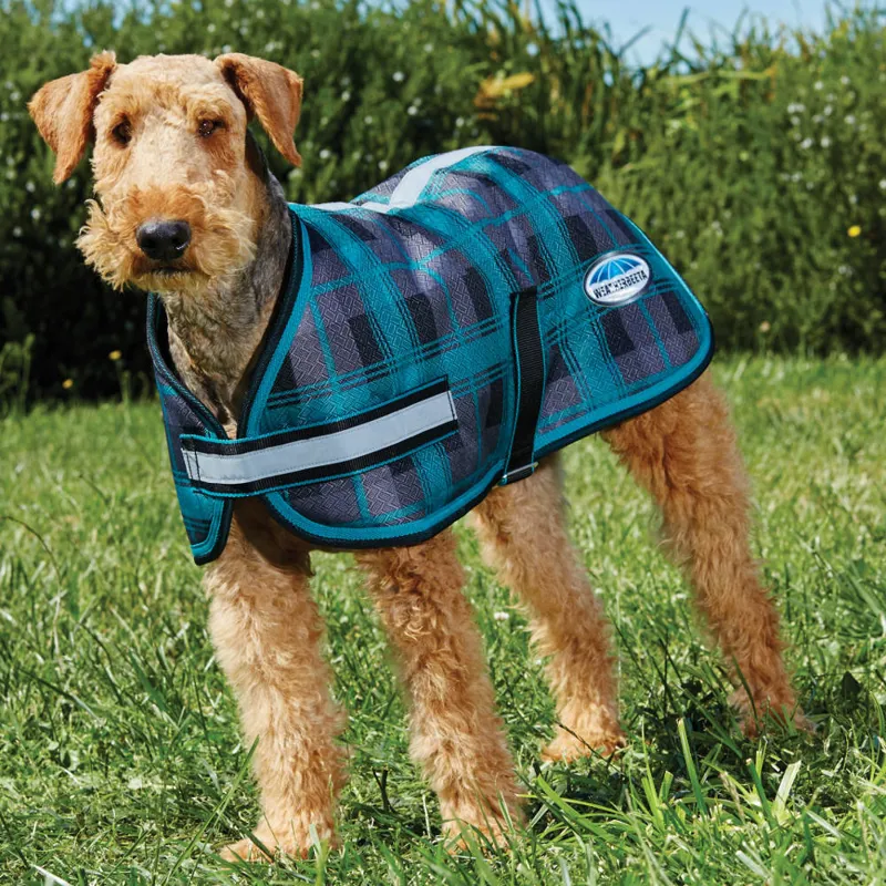 Weatherbeeta Dog Coats Petbarn at Hazel Wallace blog