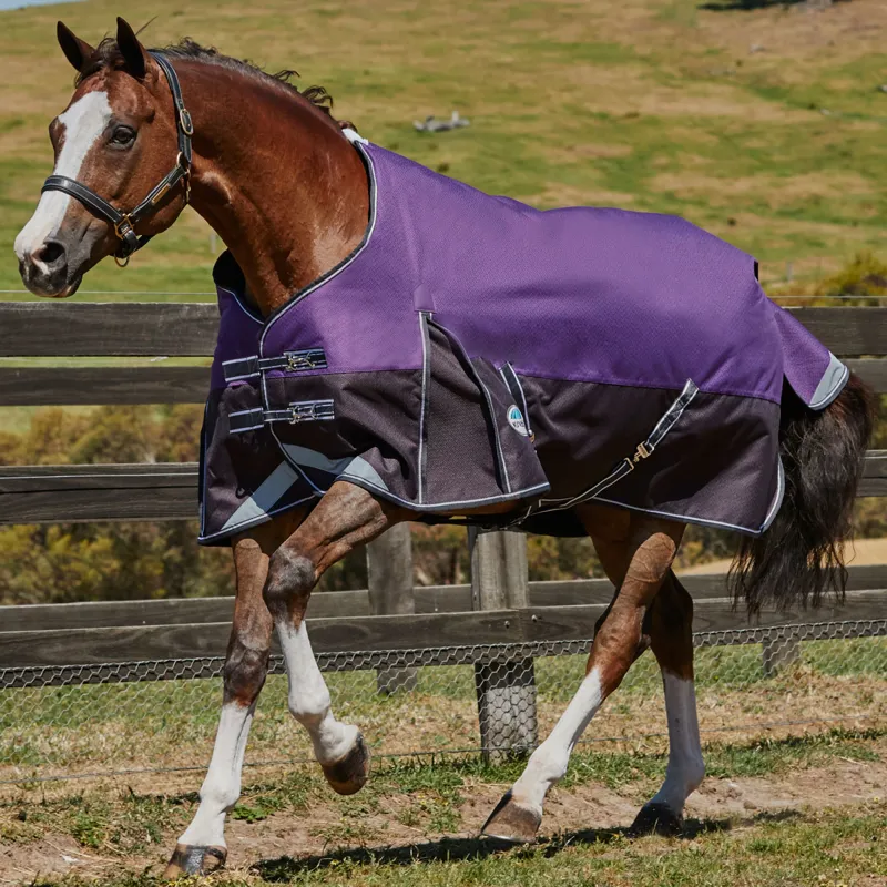 WeatherBeeta ComFiTec Plus Dynamic 100g Turnout Rug - Purple/Black