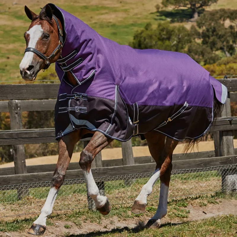 WeatherBeeta ComFiTec Plus Dynamic 100g Combo Turnout - Purple/Black