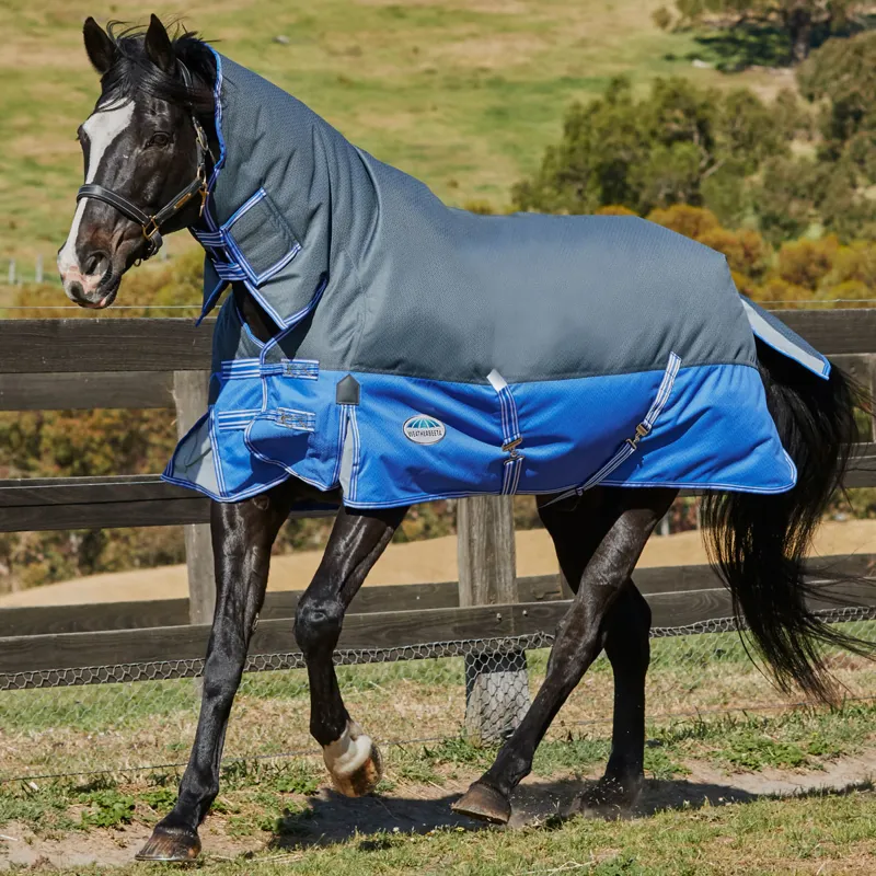 WeatherBeeta ComFiTec Premier Thinsulate Combo 350g - Grey/Blue