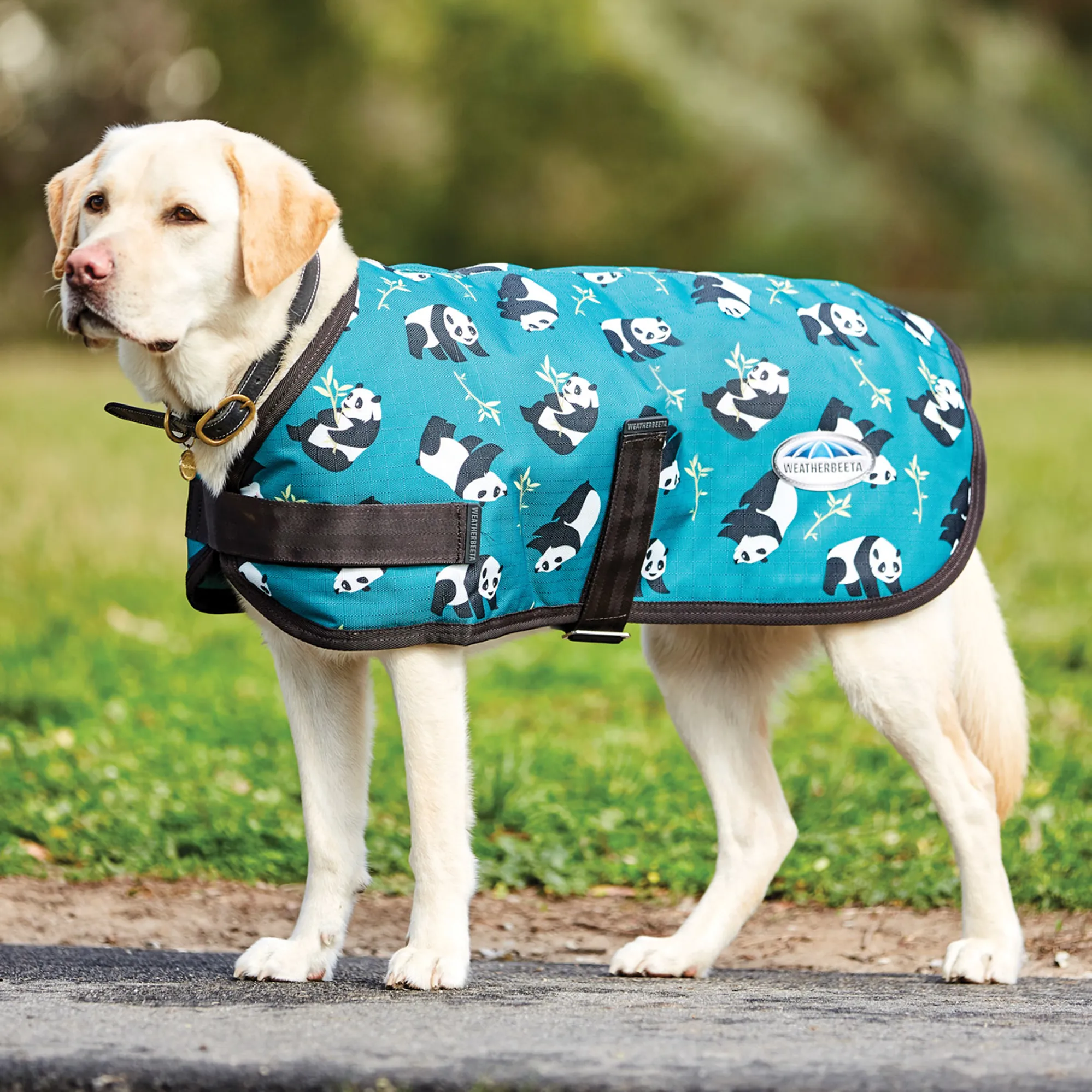 Weatherbeeta Panda Rug Weatherbeeta Parka 1200D Waterproof Dog Coat - Panda Print