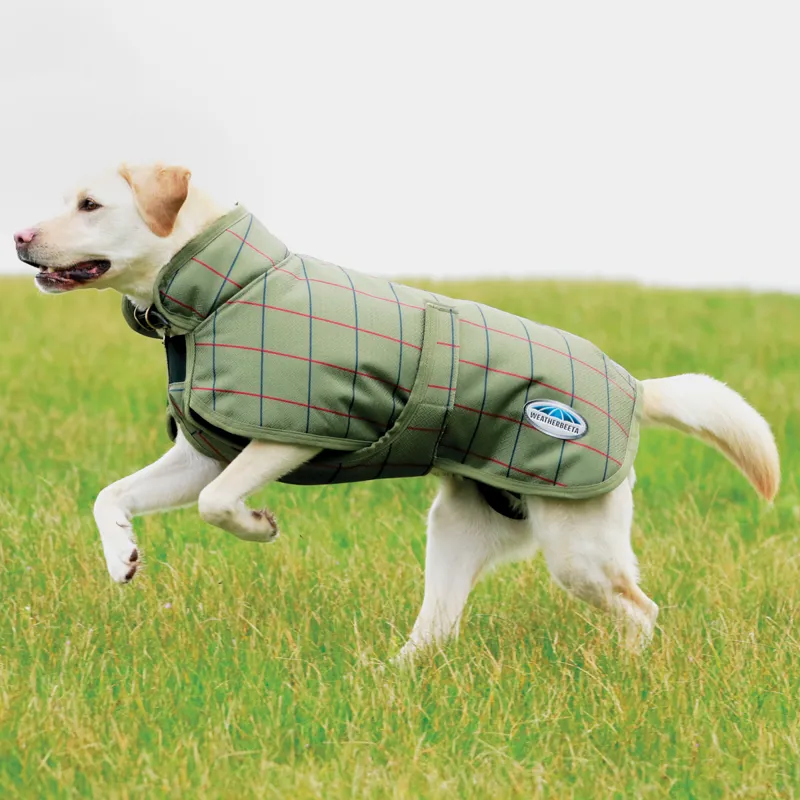 WeatherBeeta Parka Deluxe 1200D Waterproof Dog Coat Olive Tweed