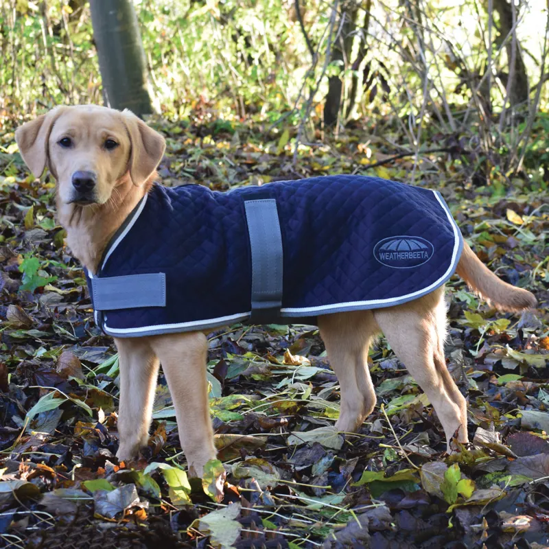 WeatherBeeta Thermic Dog Coat Navy/Grey/White