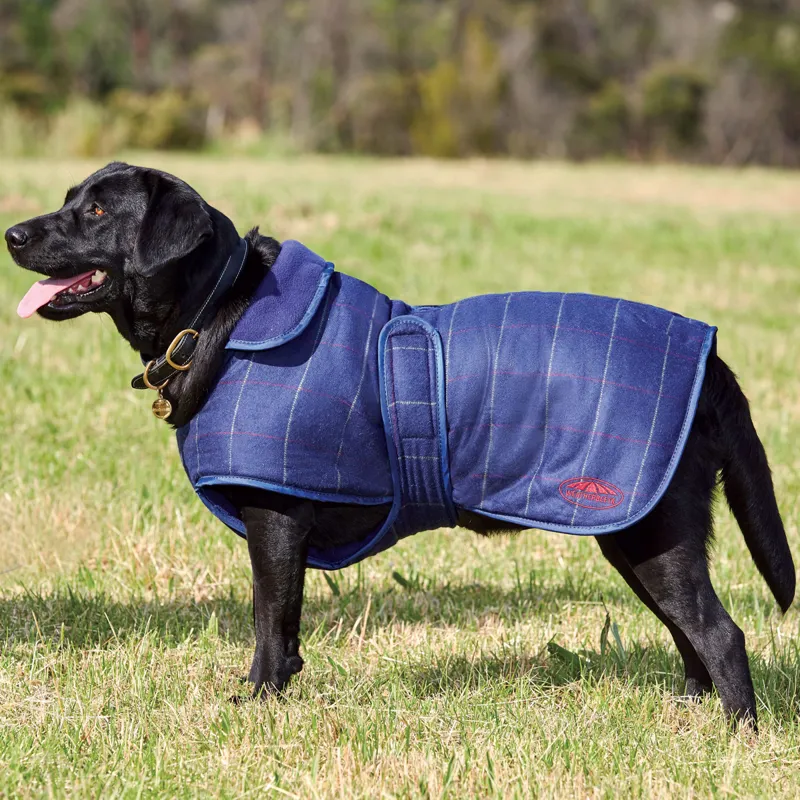 Tweed sales dog jacket
