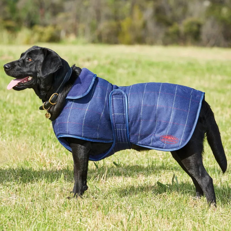 Weatherbeeta Tweed Dog Coat Navy Redpost Equestrian