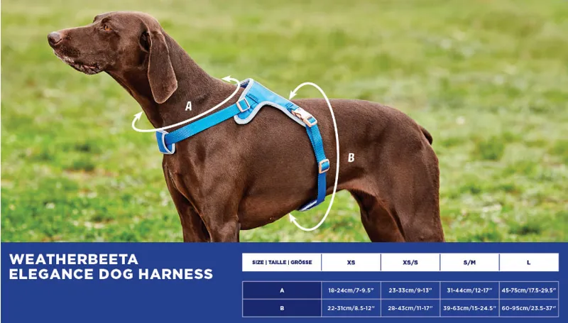 WeatherBeeta Elegance Dog Harness Sizing