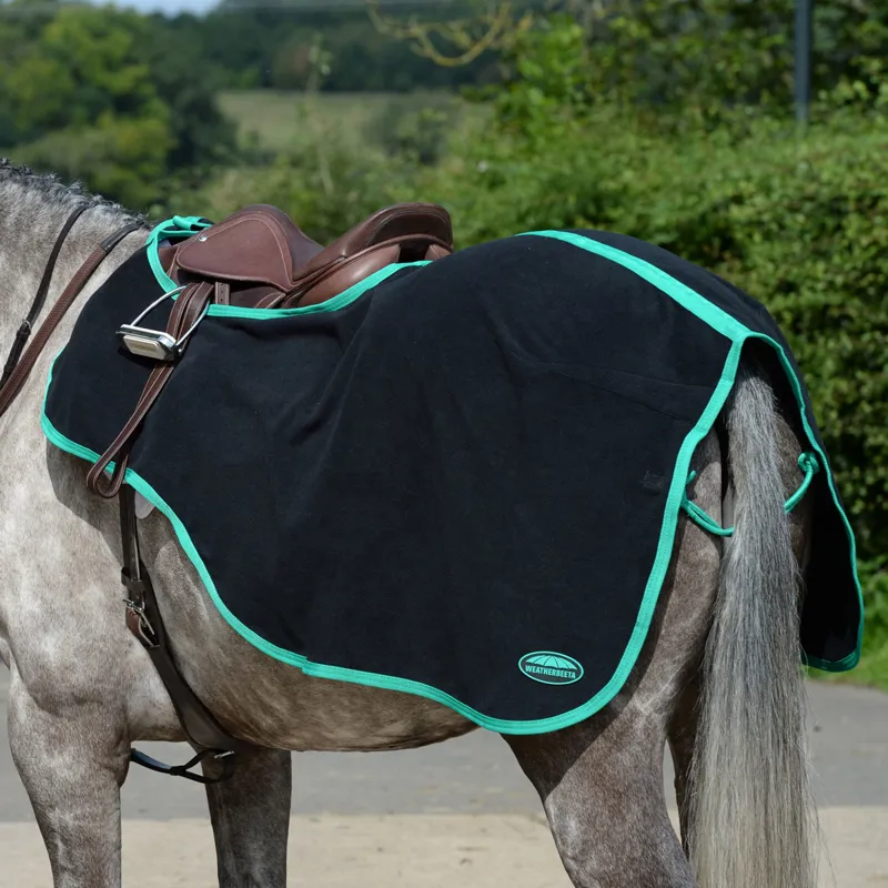 Horse clearance exercise sheet