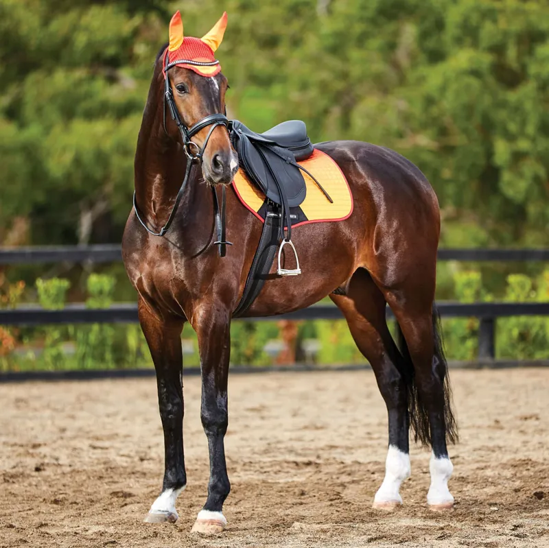 WeatherBeeta Prime Ombre Ear Bonnet - Autumn Glow-1