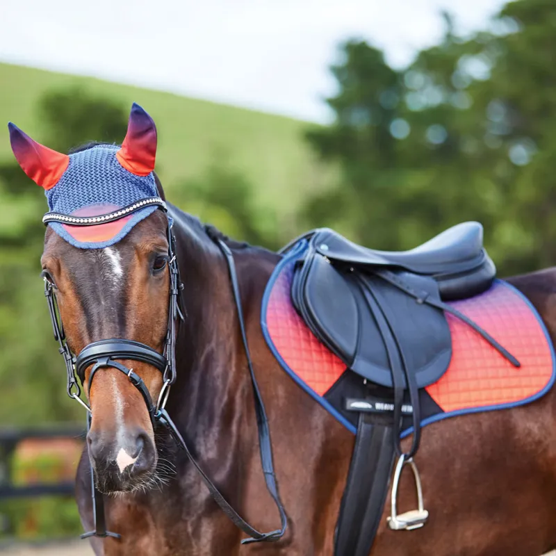 WeatherBeeta Prime Ombre Ear Bonnet - Stormy Sky-2