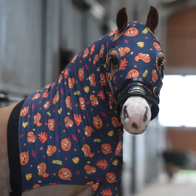 Weatherbeeta horse blankets store