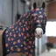 WeatherBeeta Lycra Stretch Hood With Zip -  Squirrel Print