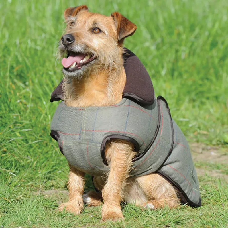 Weatherbeeta Tweed Dog Coat Olive