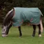 WeatherBeeta ComFiTec Tyro 200g Standard Neck Turnout Rug - Green