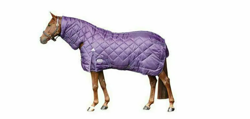 Weatherbeeta Windsor Heavy Fixed Neck Combo Stable Rug - Purple/Silver-1