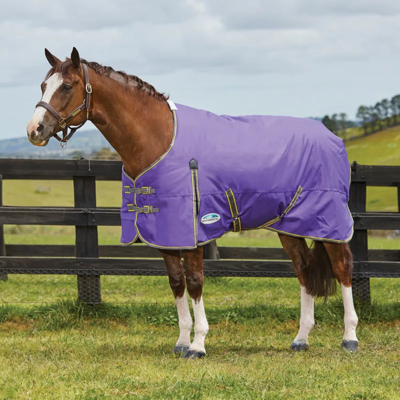 WeatherBeeta ComFiTec Classic 220g Standard Neck Turnout - Violet/Grey