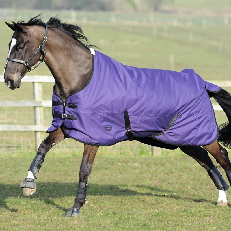 Weatherbeeta Genero 1200D Standard Neck Medium Turnout Rug 220g