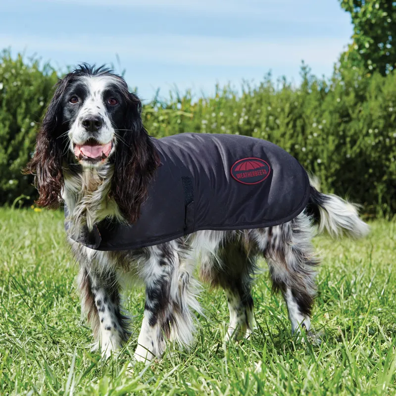 WeatherBeeta ComFiTec Waxed Dog Coat Brown