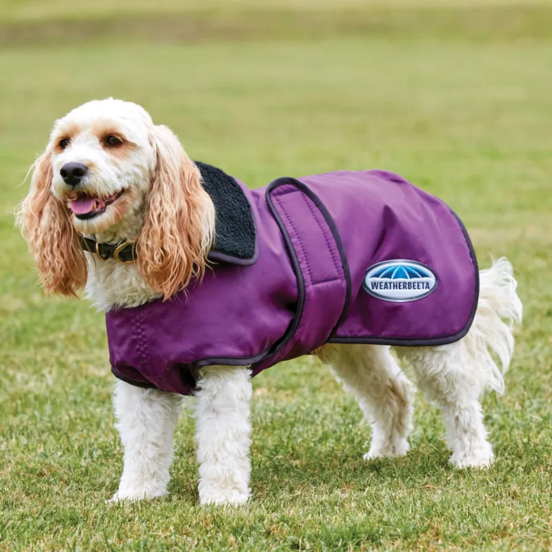 WeatherBeeta Windbreaker 420D Deluxe Dog Coat Purple/Black Redpost