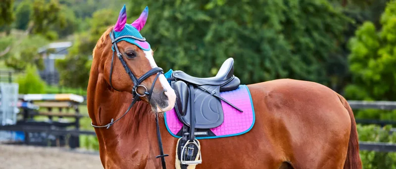 WeatherBeeta Prime Ombre Collection