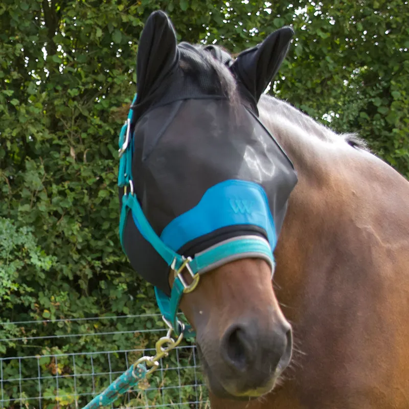 Woof Wear UV Fly Mask With Ears - Black/Turquoise-3