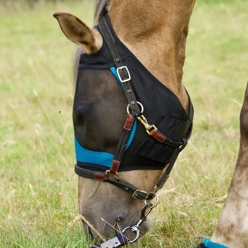 Woof Wear UV Fly Mask Without Ears - Black/Turquoise-1