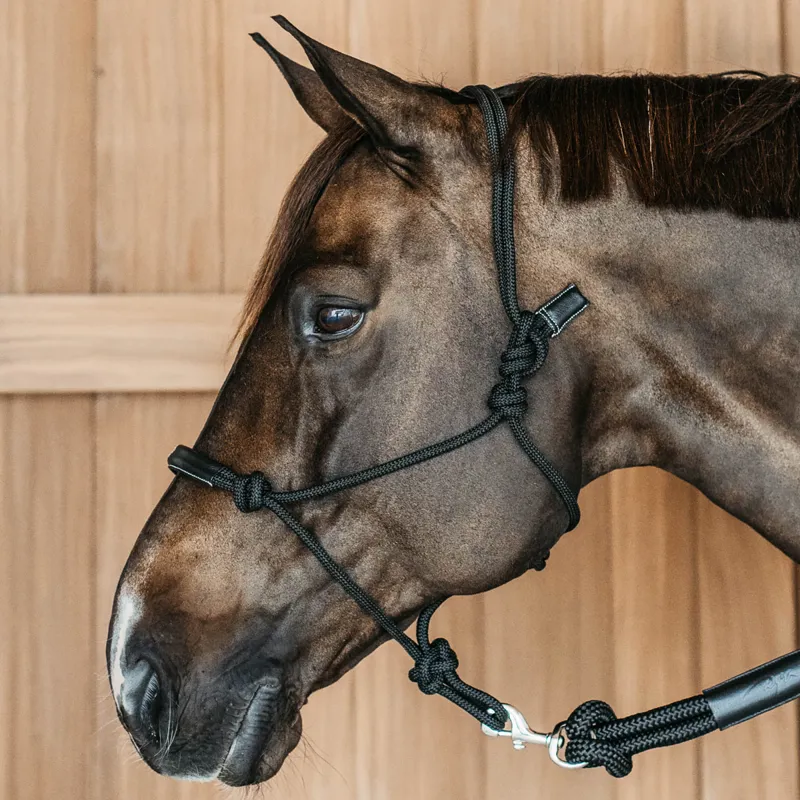 Dy'on Working Training Halter - Black