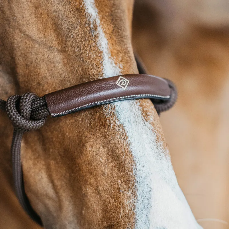 Dy'on Working Training Halter - Brown-2