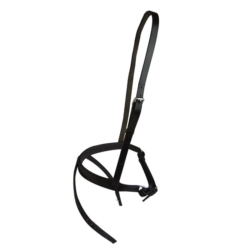 Shires Blenheim Worcester Noseband - Brown